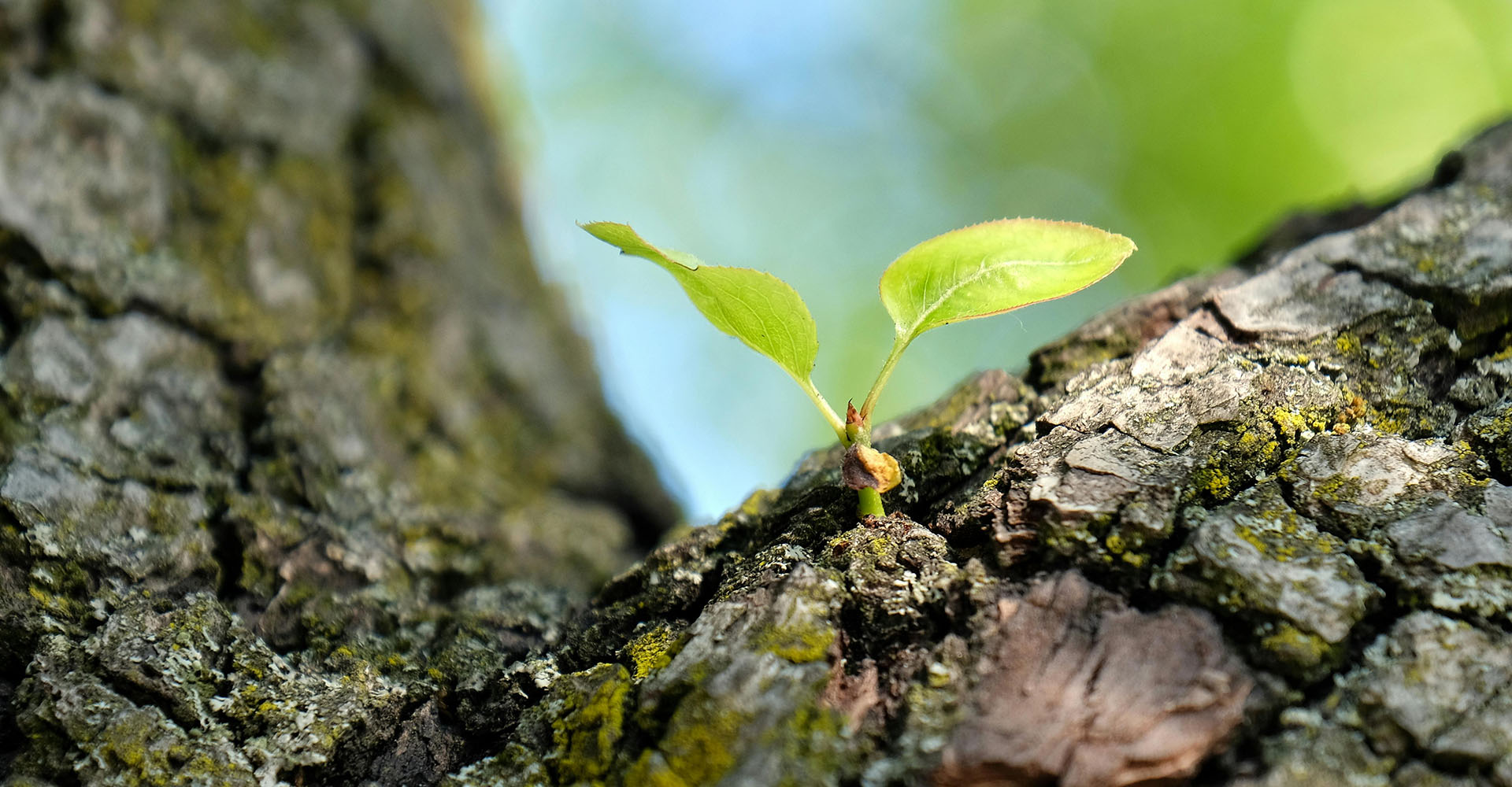 the law of rhythm: life moves in cycles